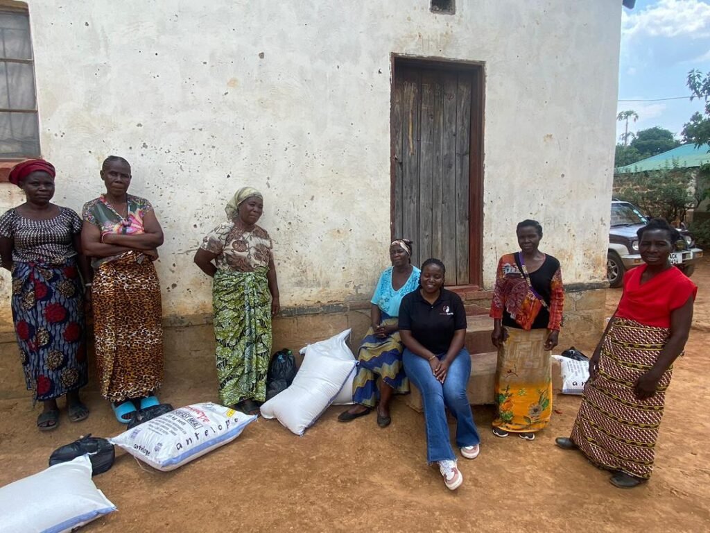 whatsapp image 2025 11 28 at 14.47.32 3c2b0542